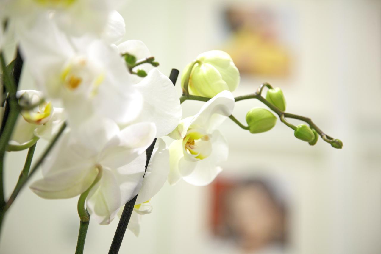 Prado Suite มาดริด ภายนอก รูปภาพ